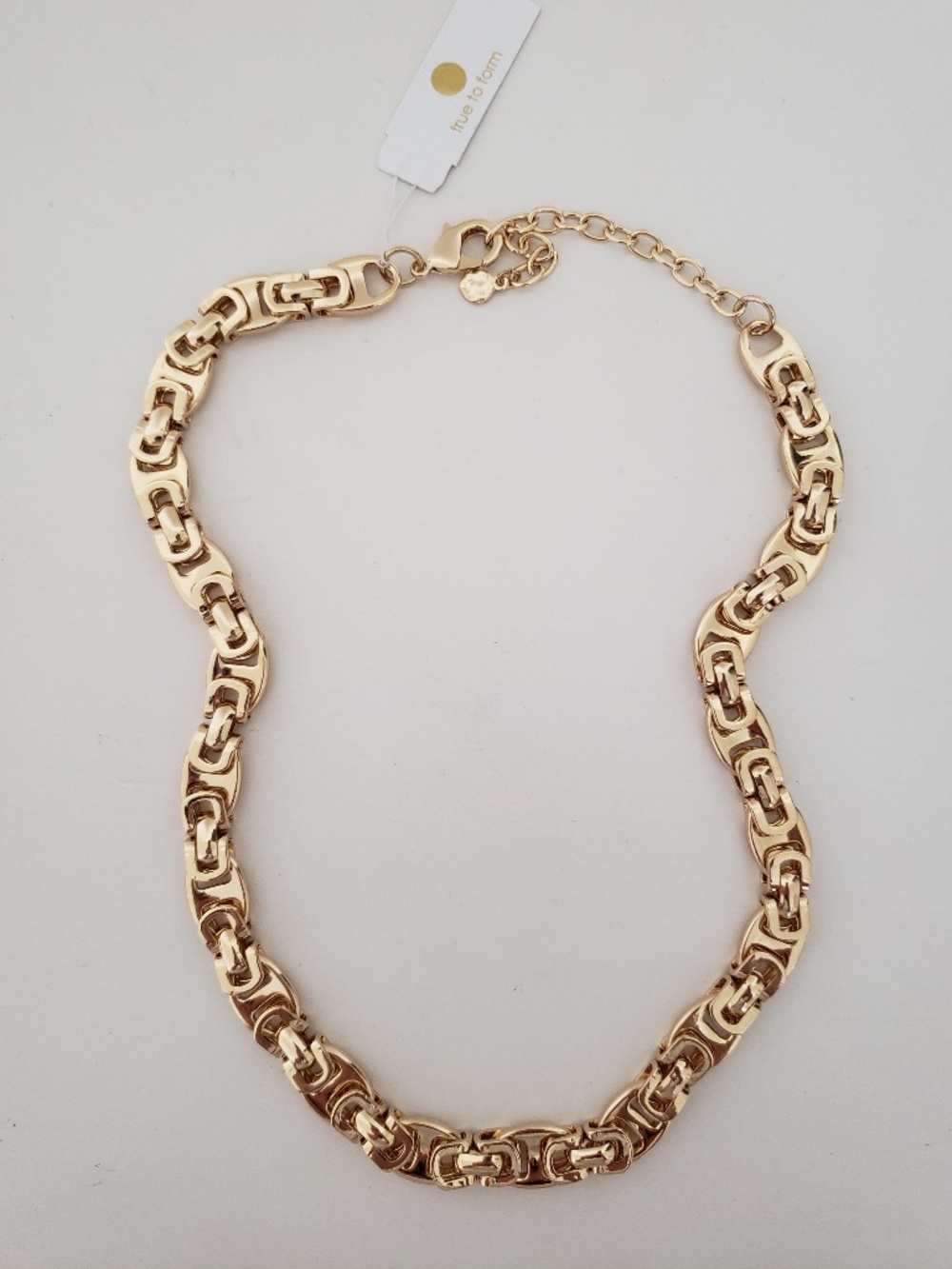 True to Form Chain Link Necklace